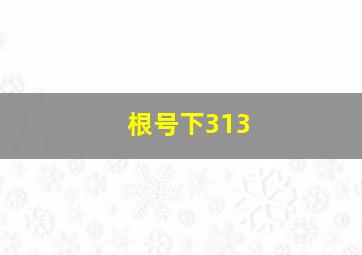 根号下313