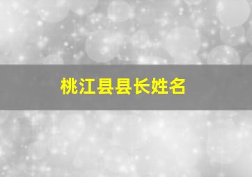 桃江县县长姓名