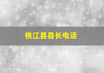 桃江县县长电话