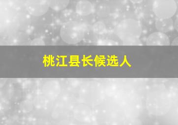 桃江县长候选人