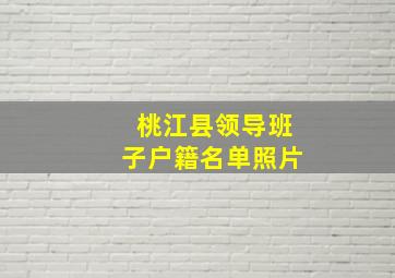 桃江县领导班子户籍名单照片