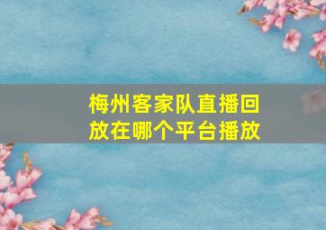 梅州客家队直播回放在哪个平台播放