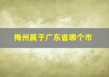 梅州属于广东省哪个市