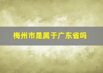 梅州市是属于广东省吗