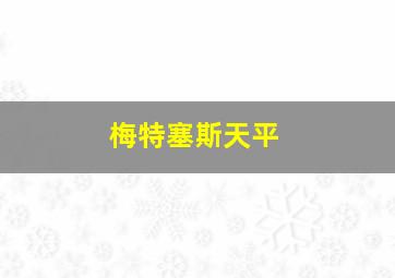 梅特塞斯天平