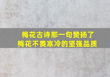 梅花古诗那一句赞扬了梅花不畏寒冷的坚强品质