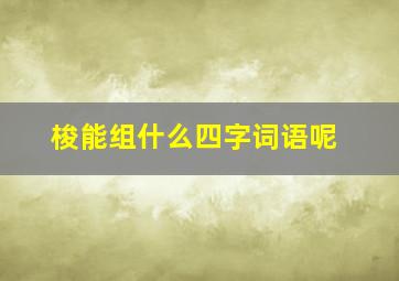 梭能组什么四字词语呢