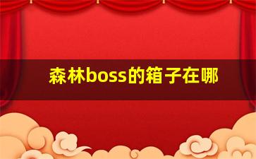 森林boss的箱子在哪