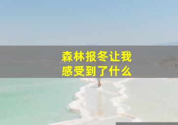 森林报冬让我感受到了什么