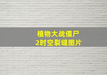 植物大战僵尸2时空裂缝图片