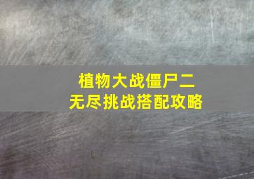 植物大战僵尸二无尽挑战搭配攻略