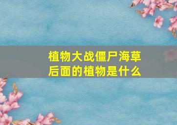 植物大战僵尸海草后面的植物是什么