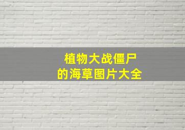 植物大战僵尸的海草图片大全