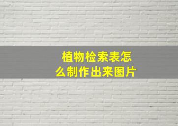 植物检索表怎么制作出来图片