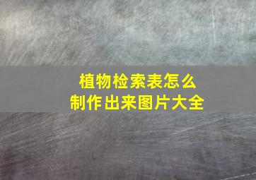 植物检索表怎么制作出来图片大全