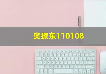 樊振东110108