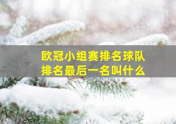 欧冠小组赛排名球队排名最后一名叫什么