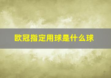 欧冠指定用球是什么球