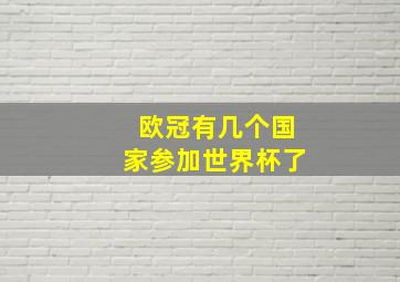 欧冠有几个国家参加世界杯了