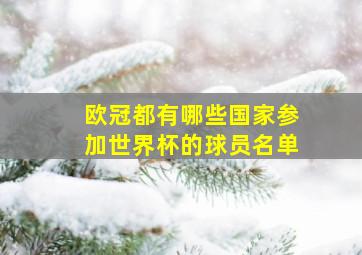 欧冠都有哪些国家参加世界杯的球员名单