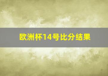 欧洲杯14号比分结果