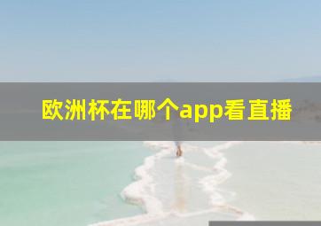 欧洲杯在哪个app看直播