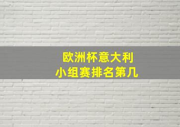 欧洲杯意大利小组赛排名第几