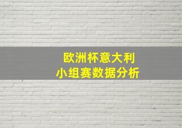 欧洲杯意大利小组赛数据分析