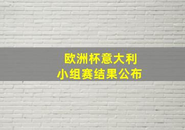 欧洲杯意大利小组赛结果公布