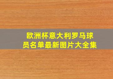 欧洲杯意大利罗马球员名单最新图片大全集