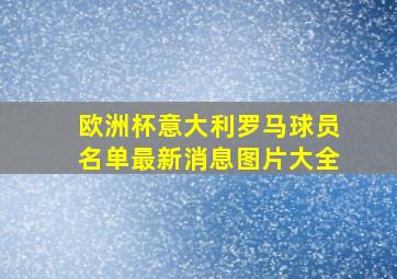 欧洲杯意大利罗马球员名单最新消息图片大全