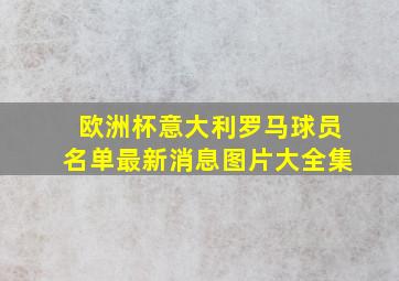 欧洲杯意大利罗马球员名单最新消息图片大全集