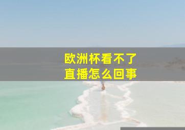 欧洲杯看不了直播怎么回事