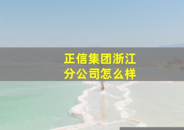 正信集团浙江分公司怎么样