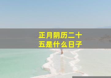 正月阴历二十五是什么日子