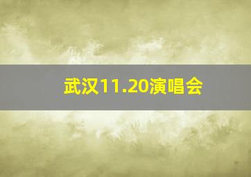 武汉11.20演唱会