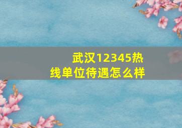 武汉12345热线单位待遇怎么样