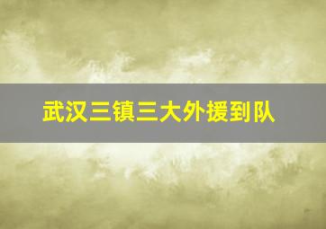 武汉三镇三大外援到队