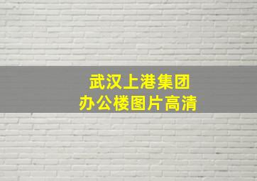 武汉上港集团办公楼图片高清