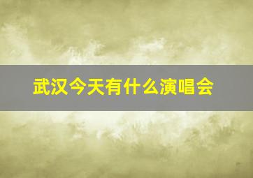 武汉今天有什么演唱会