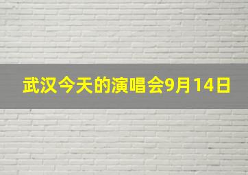 武汉今天的演唱会9月14日