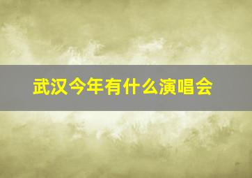 武汉今年有什么演唱会