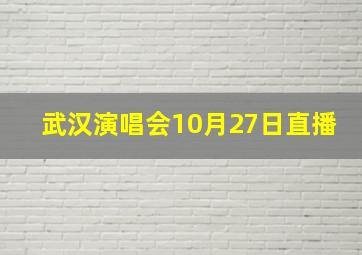 武汉演唱会10月27日直播