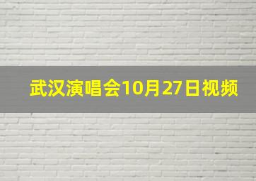 武汉演唱会10月27日视频