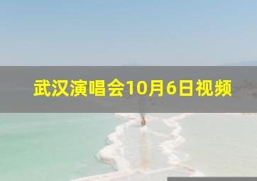 武汉演唱会10月6日视频