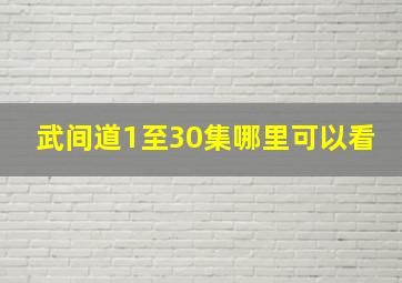 武间道1至30集哪里可以看