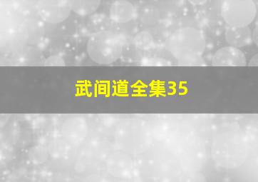 武间道全集35