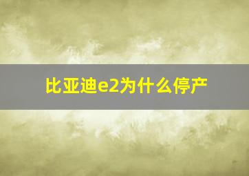 比亚迪e2为什么停产