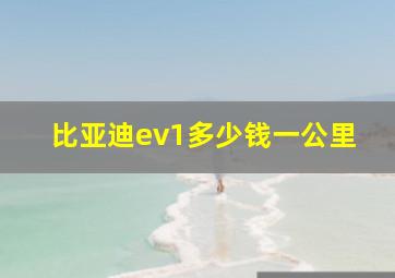 比亚迪ev1多少钱一公里