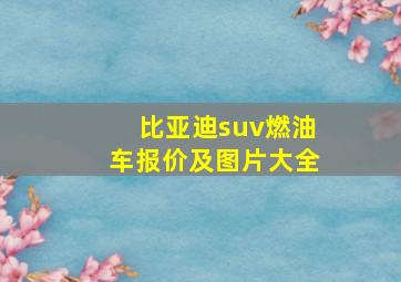 比亚迪suv燃油车报价及图片大全